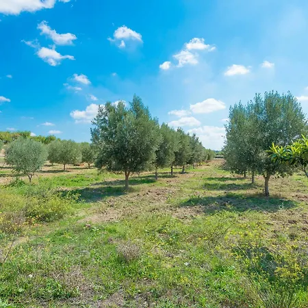 Granja Инка