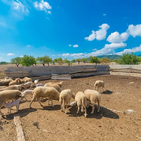 Granja Апартаменты *