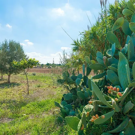 Apartment Granja Inca (Mallorca)