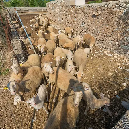 Granja * Inca (Mallorca)