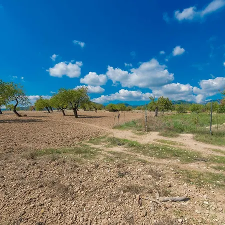 Apartment Granja Inca (Mallorca)